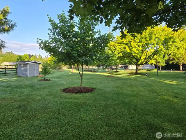 Beautiful park like setting.