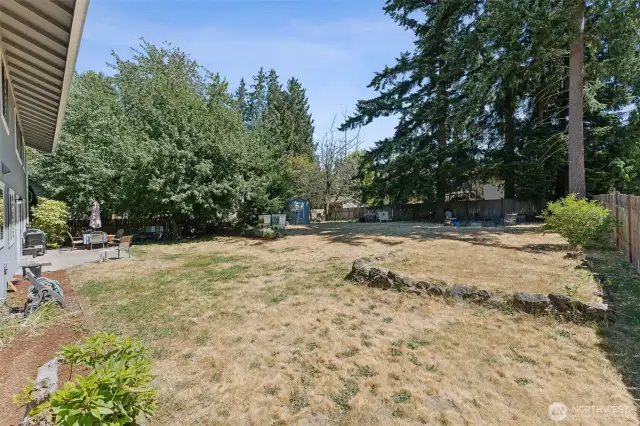 Large back yard, perfect for entertaining, gardening, or chickens.