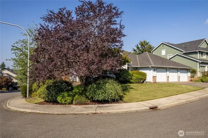 This wonderful single-level home is on a large corner lot