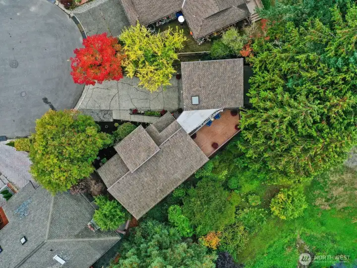 Imagine being able to look at all of these mesmerizing color of Fall from every area of the home.
