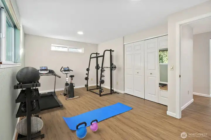 Virtually staged extra finished room.  There is a closet and lots of natural light.