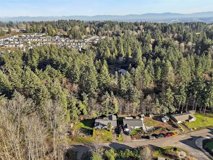 This shows you the property and how it sits at the dead end street.