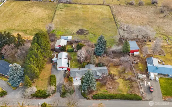 Outdoor space for all your furry friends!