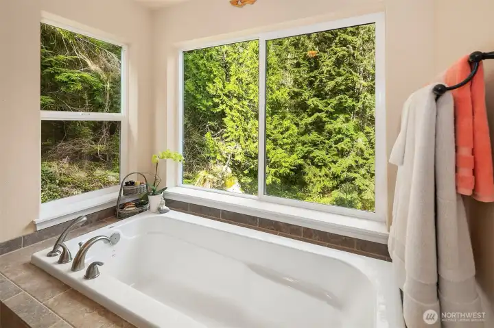 No neighbors except birds, squirrels and deer.