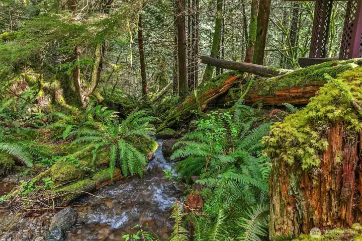 Back to the woods after a long day of gardening.