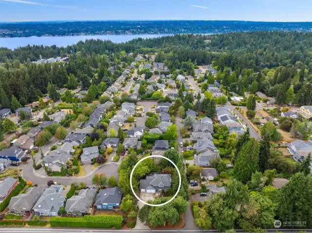 Looking west, this aerial shows NE 125th PL, a private road, bordering the north side of the property.