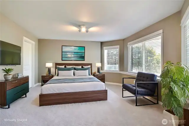 Lower bedroom three, this is just a huge room with really generous windows and walk-in closet. ***Virtually Staged***