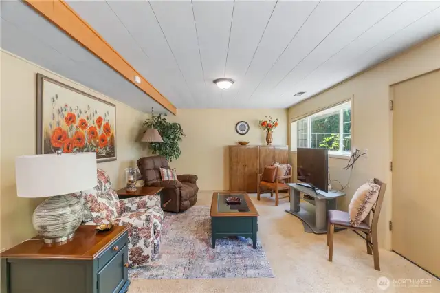 daylight basement family room