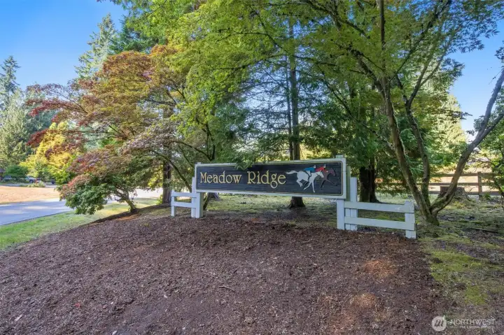 Welcome to Meadow Ridge!