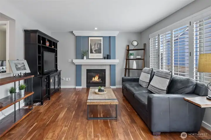 Modern Plantation Shutters on windows