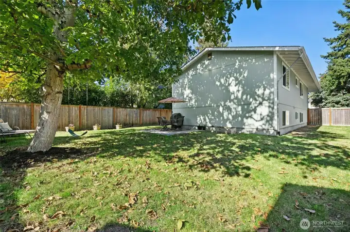 Spacious fenced yard.