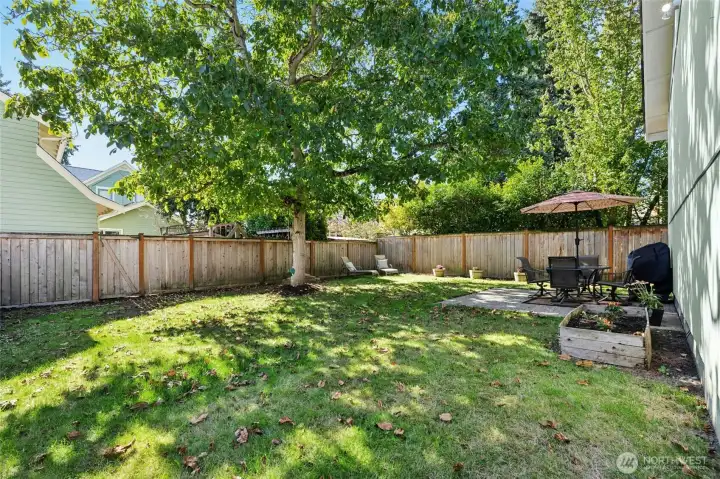 Room for gardening, sun bathing, playtime.