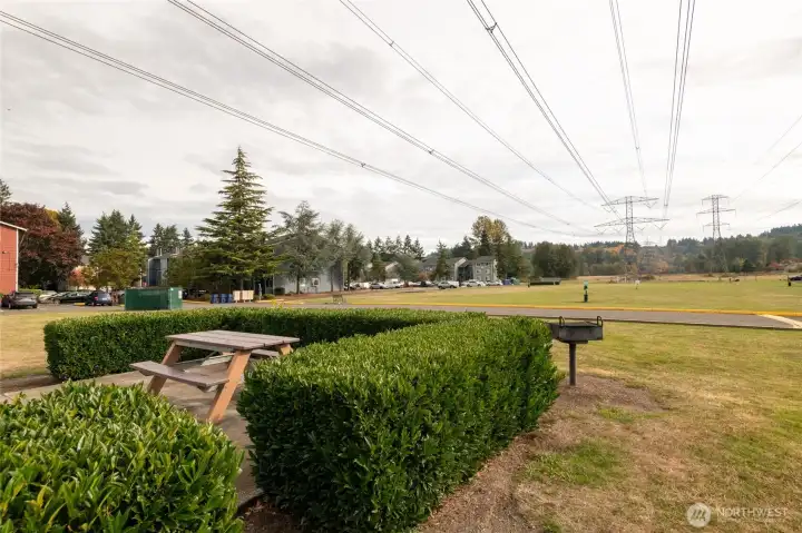 The large, community Park with play area, picnic tables and BBQ's offering room for get togethers and community activities.