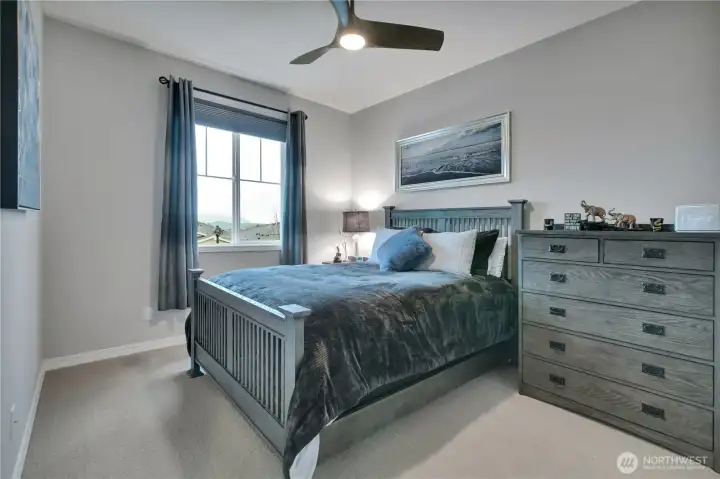 3rd bedroom with walk-in closet and mountain views.