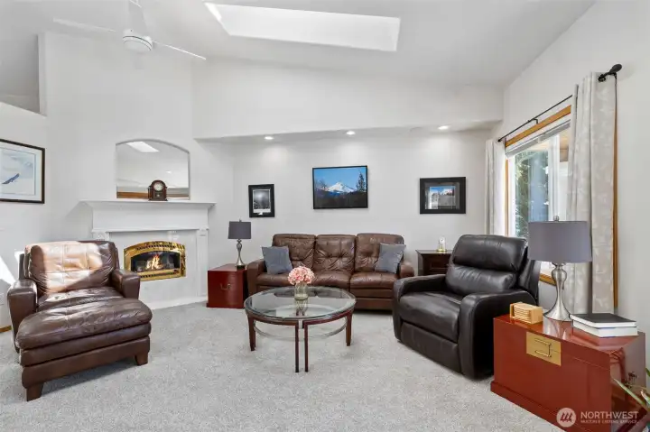 Gas fireplace in the living room.