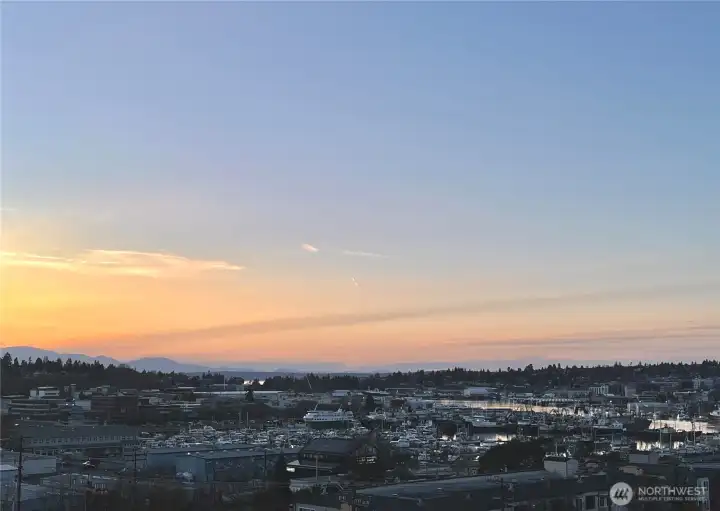 View from the rooftop