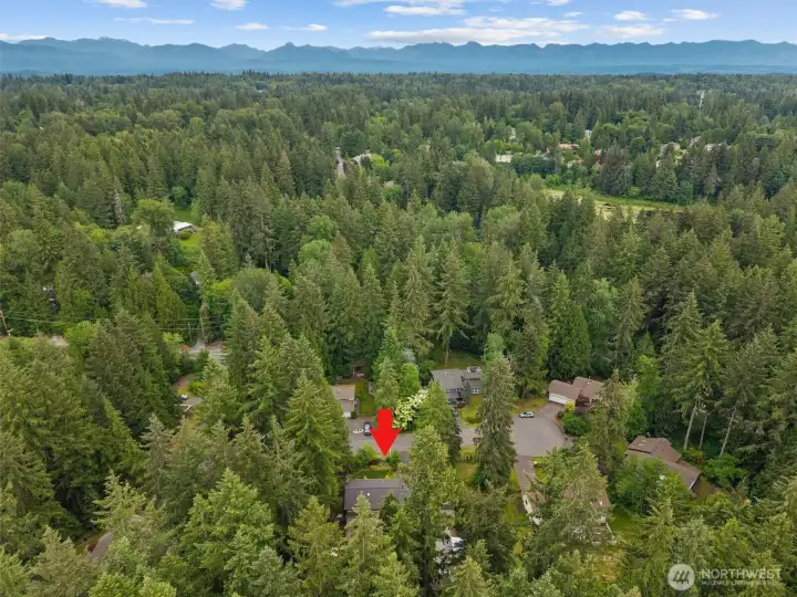 Live in the country and be only minutes to Microsoft and the East Side Tech Hub!