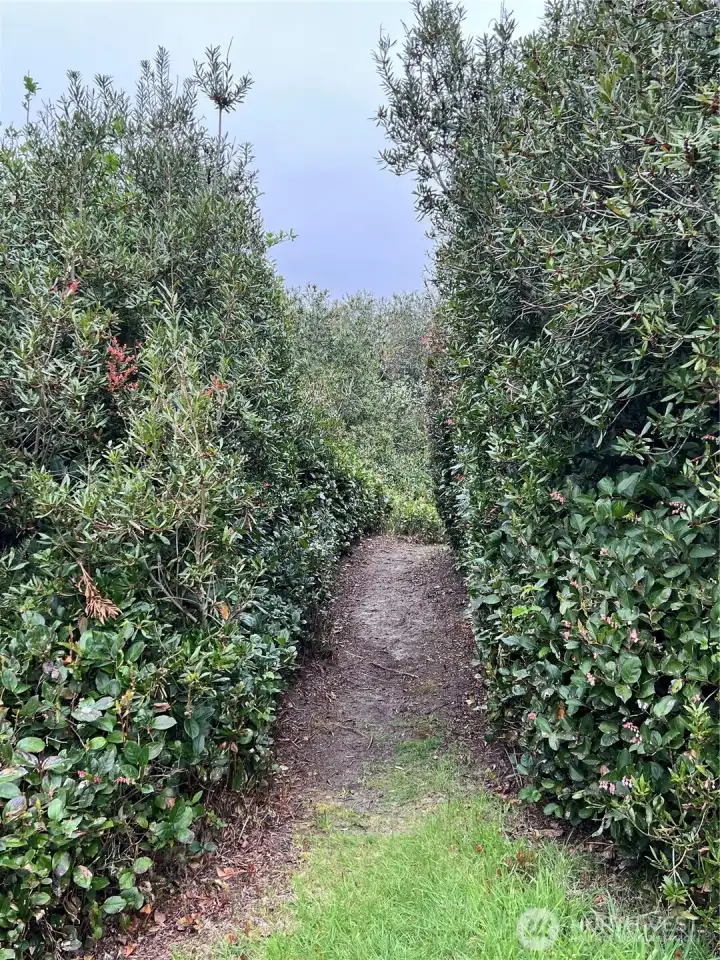 A pathway at the back of the property that leads to the loop around Perkins pond.