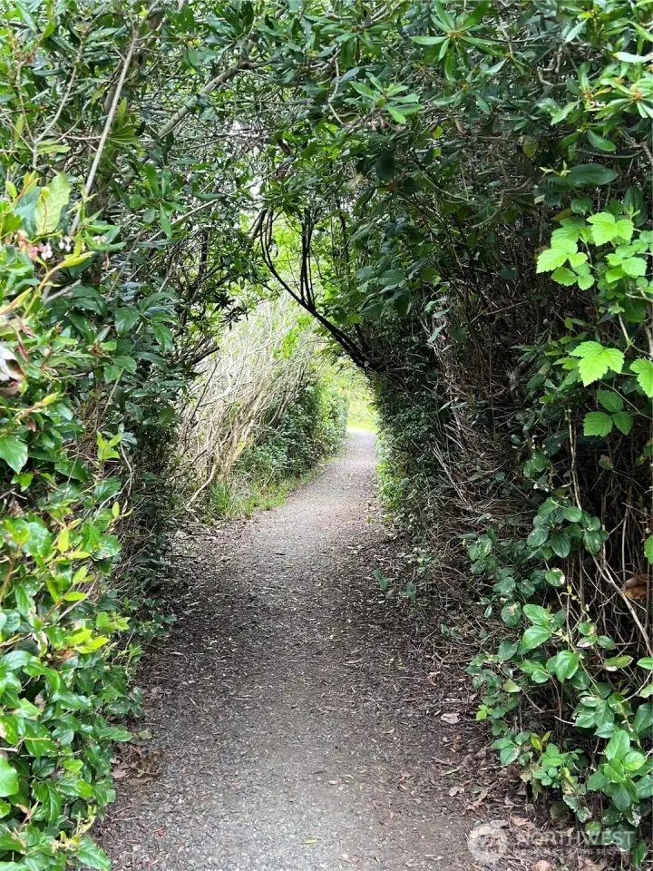 Part of the loop trail just steps away from the property.