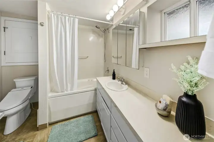 Lower level bathroom with soaking tub. There is also a 2nd laundry room downstairs in the utility room.