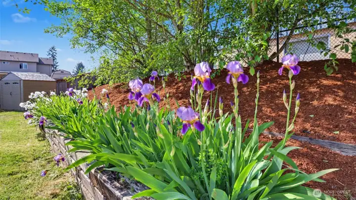 Large garden space for flowers/vegetables