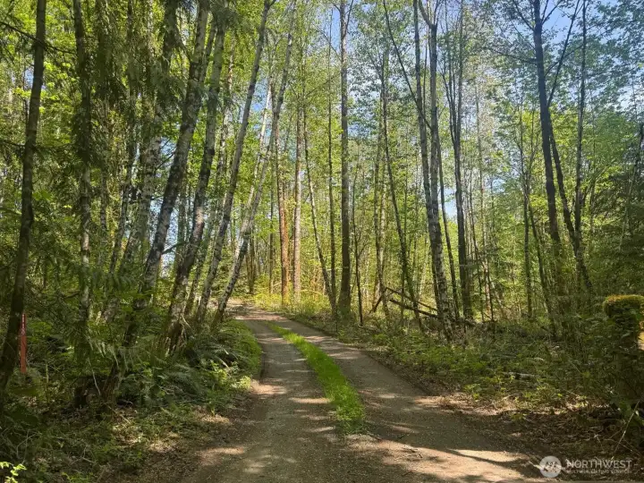 This curved private drive leads you up into your private nature sanctuary.