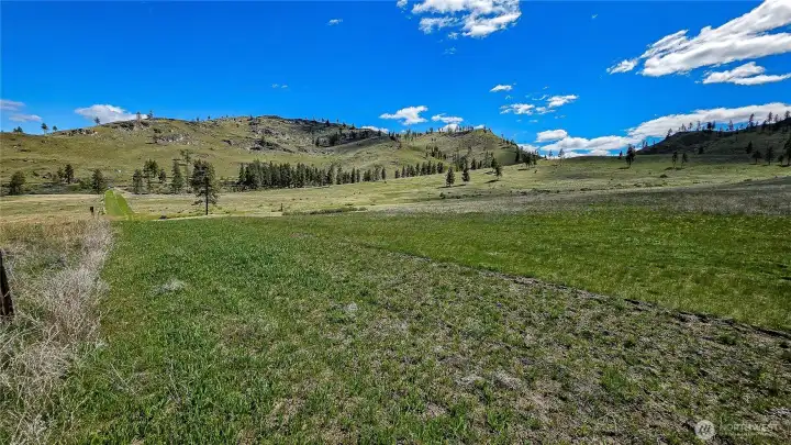 Looking from the west boundary line back toward Ponderosa Ridge Lane following the 30' easement access.