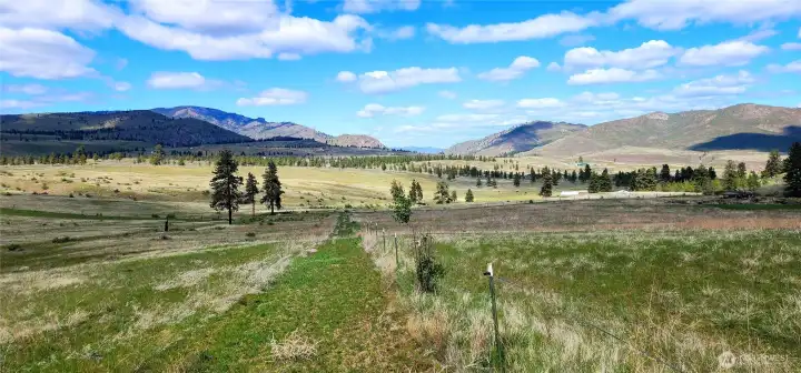 Looking down a fence line along the eastern boundary line.