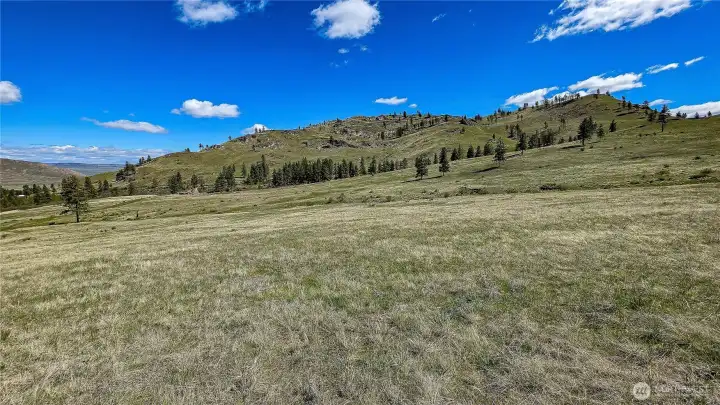 Looking toward the south boundary line which borders 1,680 acres of public lands!