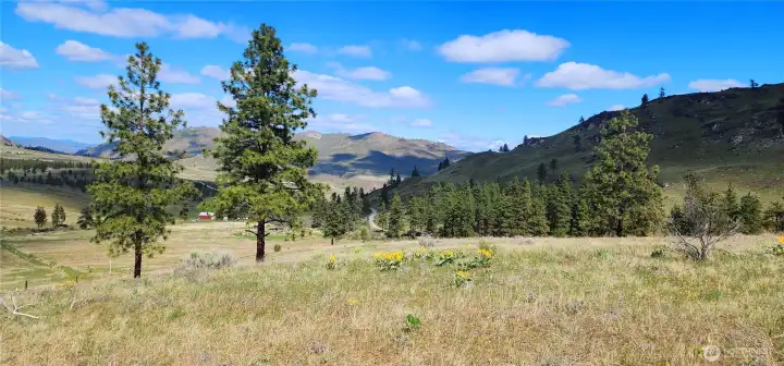 Neighbors to the east are really friendly and helpful. You can see Ponderosa Ridge Lane to the right of the tall trees.