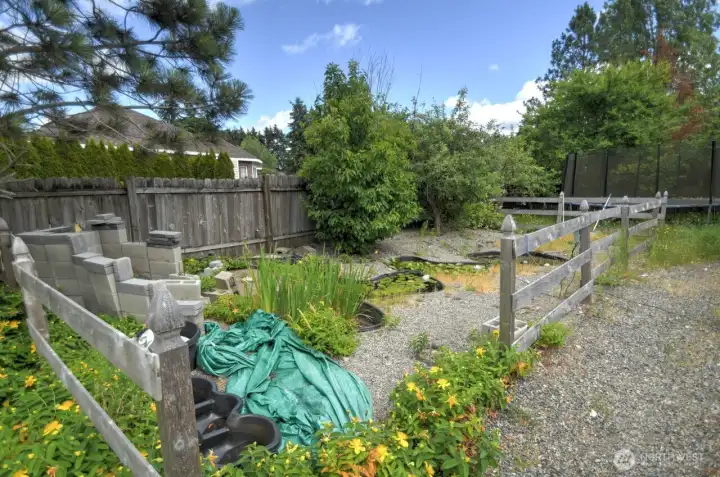 Pond area.