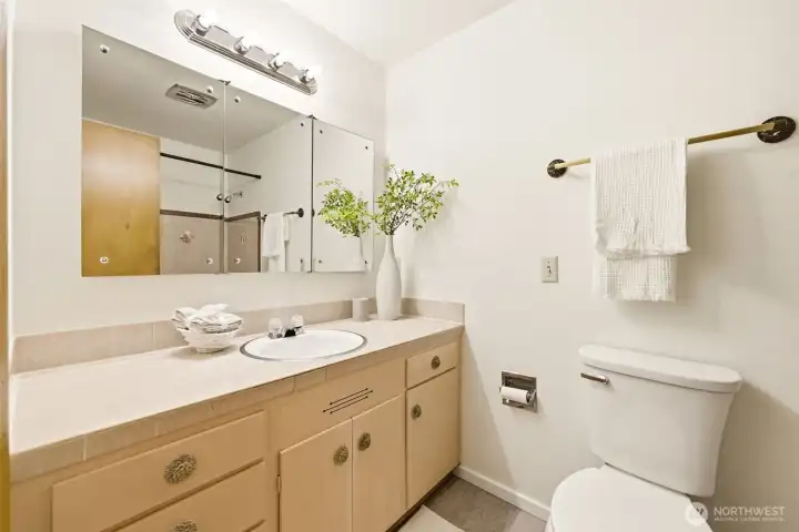 Main Level Guest Bathroom