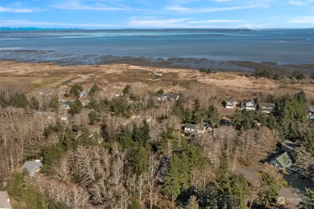 Located a stone's throw from Ocean Shores' bay side, your home is the gateway to coastal adventures. Enjoy whale watching, salmon fishing, and crabbing in this picturesque setting.