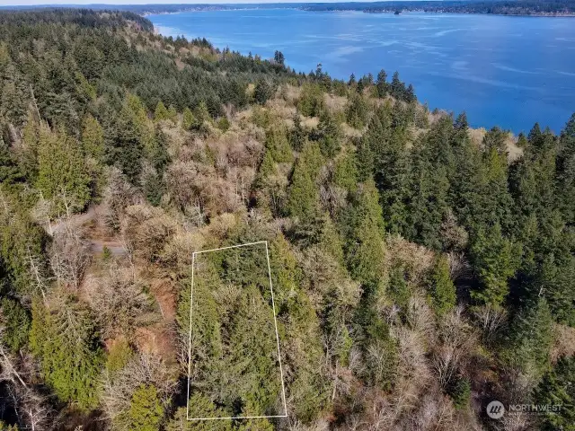 1.02 Acres in Lakebay close to Saltwater and Beaches.