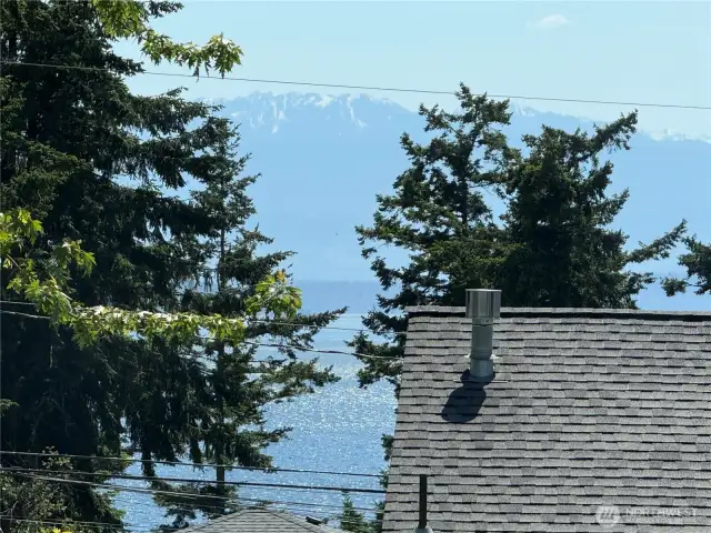 View from primary bedroom of Puget Sound and the Olympic Mountains. Watch for cruise ships and Orcas!