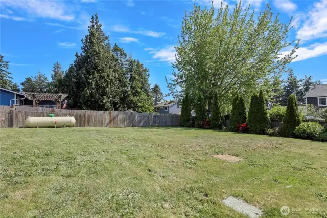 Fully fenced, level backyard.