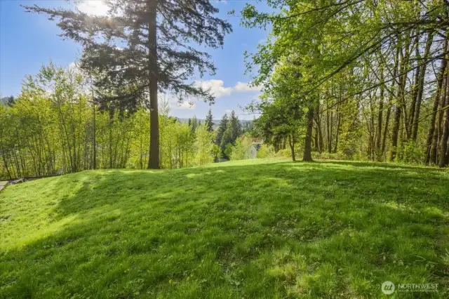 View of the Expansive Lot