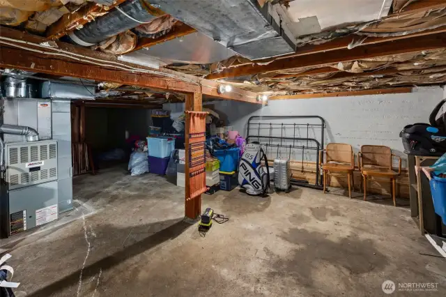 Massive amount of storage in the basement