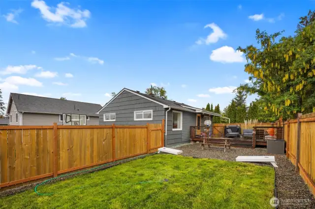 Fresh new sod in the backyard