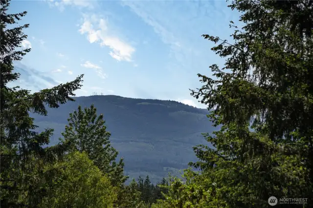 View of the Olympics.