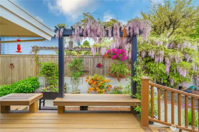 This is the Gorgeous View from your Kitchen and your Breakfast Nook
