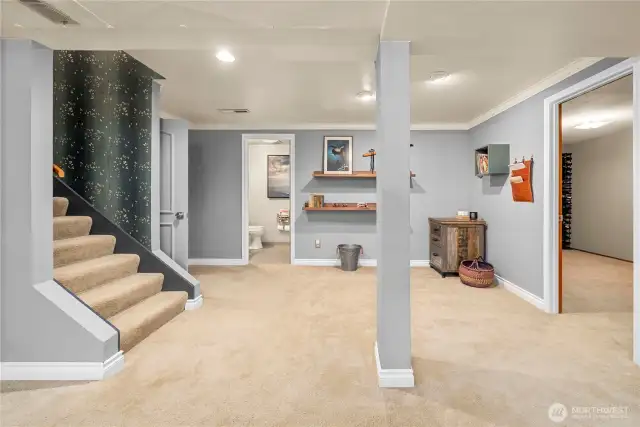 Lower Level features approx.1200 sq.ft. of beautifully finished space that can function as Guest Space, Teenage Heaven, MIL, AirBNB. Staircase has comfortable low risers for easy access.