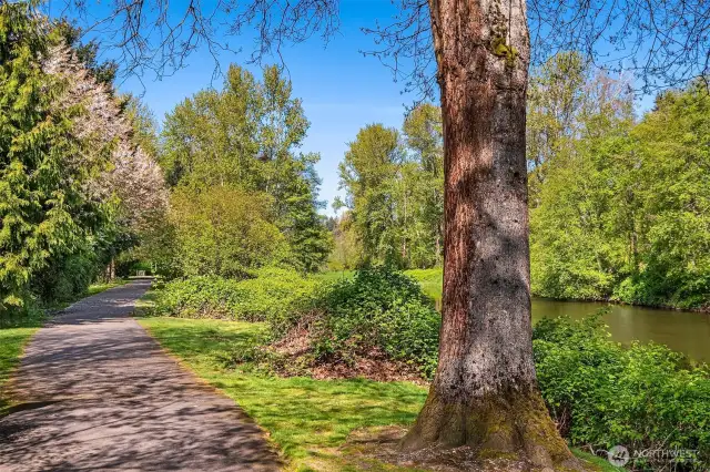 Beautiful path along the river to walk, run, ride your bike downtown Bothell, Bothell landing park & connects to Burke-Gilman trail. Several benches along the way to sit and relax.