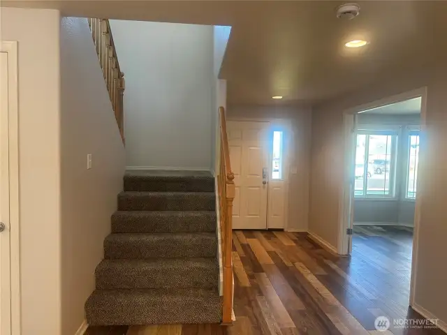 New Carpet!