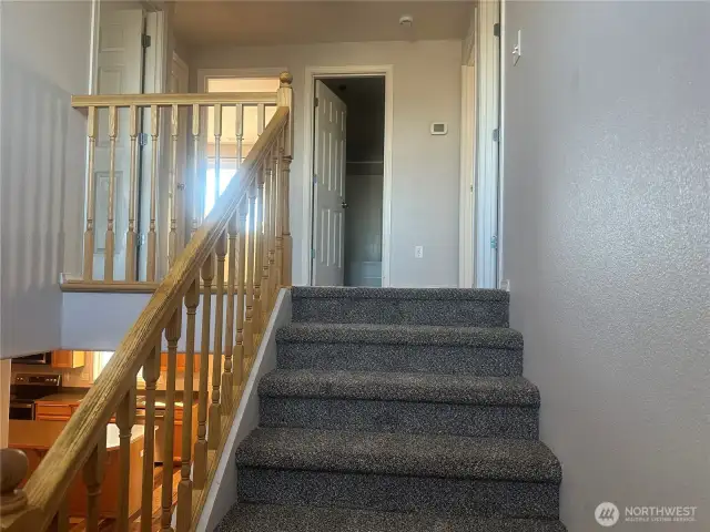 New Carpet!