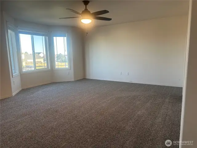 New Carpet!