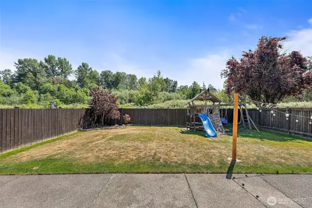 Great Backyard - No one behind! Large patio!