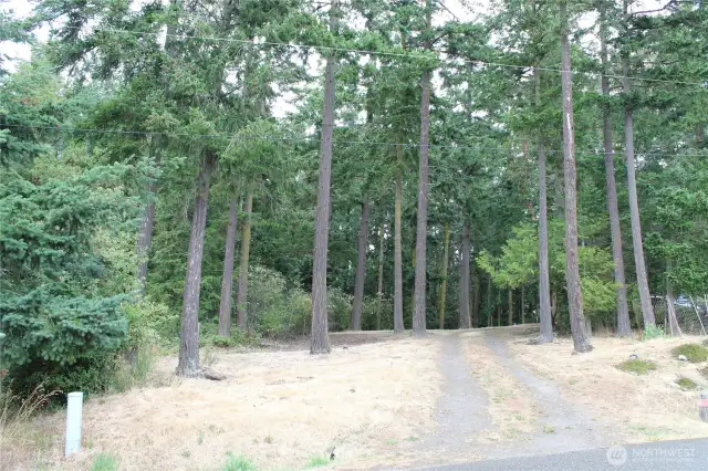 Cleared lot ready to build