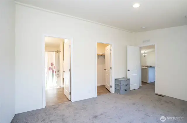 Alternate view of the primary suite, showcasing the walk-in closet and private ensuite.