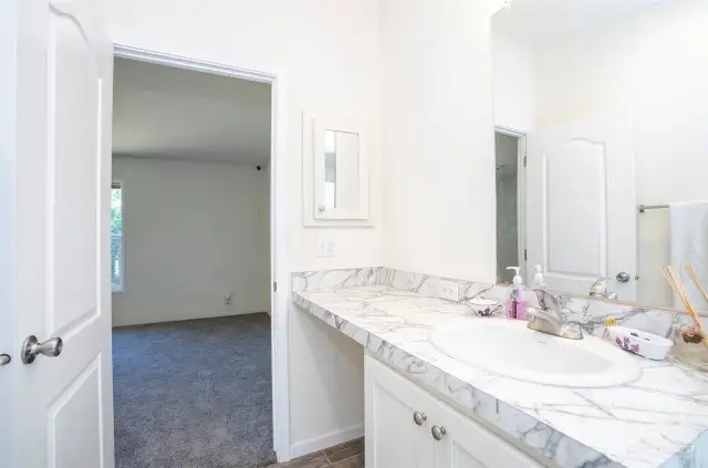 Primary ensuite with a view into the adjoining primary suite.